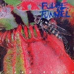 fudge tunnel - creep diets fudge tunnel - creep diets