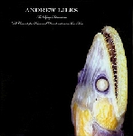 andrew liles - the dying submariner andrew liles - the dying submariner