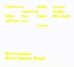 muslimgauze - veiled sisters remix muslimgauze - veiled sisters remix