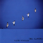 nate wooley - the almond nate wooley - the almond