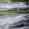 diane labrosse - ikue mori - martin tetreault - île bizarre diane labrosse - ikue mori - martin tetreault - île bizarre