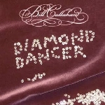 bill callahan - diamond dancer bill callahan - diamond dancer