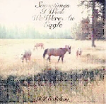 bill callahan - sometimes i wish we were an eagle bill callahan - sometimes i wish we were an eagle