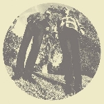 ty segall & white fence - hair ty segall & white fence - hair