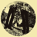 ty segall & white fence - hair ty segall & white fence - hair