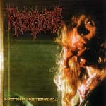 regurgitate - effortless regurgitation regurgitate - effortless regurgitation