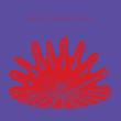 astral social club - octuplex astral social club - octuplex