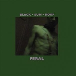 black sun roof (matthew bower) - feral black sun roof (matthew bower) - feral