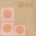 tortoise - tortoise tortoise - tortoise
