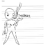 tortoise - tnt tortoise - tnt