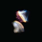 emptyset - borders emptyset - borders