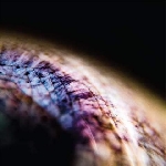 emptyset - skin emptyset - skin