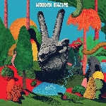 wooden shjips - v. wooden shjips - v.