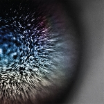emptyset - blossoms (clear) emptyset - blossoms (clear)