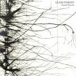 daniel menche - glass forest daniel menche - glass forest