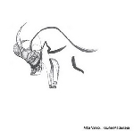 mika vaino - kouhei matsunaga - split mika vaino - kouhei matsunaga - split