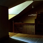 grizzly bear - yellow house grizzly bear - yellow house