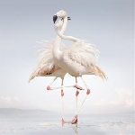 rustie - green language rustie - green language