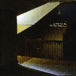 grizzly bear - yellow house grizzly bear - yellow house
