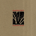 gravenhurst - flashlight seasons gravenhurst - flashlight seasons