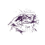 bardo pond - bufo alvarius bardo pond - bufo alvarius