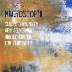 debrunner - silverman - carter - zlabinger - macroscopia debrunner - silverman - carter - zlabinger - macroscopia