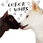 coachwhips - bangers vs. fuckers coachwhips - bangers vs. fuckers