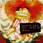 ursus minor - nucular ursus minor - nucular