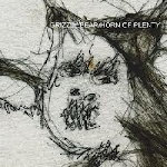 grizzly bear - horn of plenty (rsd 2013 release) grizzly bear - horn of plenty (rsd 2013 release)