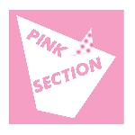pink section - s/t pink section - s/t
