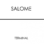 salome - terminal salome - terminal