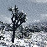 oren ambarchi - kassel jaeger - james rushford - pale calling oren ambarchi - kassel jaeger - james rushford - pale calling