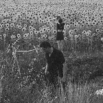 jesu - sun kil moon - s/t jesu - sun kil moon - s/t