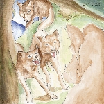 bonnie prince billy - wolf of the cosmos bonnie prince billy - wolf of the cosmos