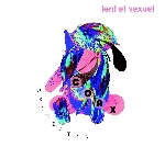 coax orchestra - lent et sexuel coax orchestra - lent et sexuel