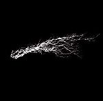 art zoyd - pure noise art zoyd - pure noise