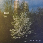 Voice Crack - shock late Voice Crack - shock late