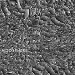 bardoseneticcube - noosphere bardoseneticcube - noosphere