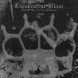 clandestine blaze - fist of the northern destroyer clandestine blaze - fist of the northern destroyer