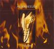 allerseelen - flamme allerseelen - flamme