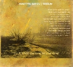 martyn bates / troum - to a child dancing in the wind martyn bates / troum - to a child dancing in the wind
