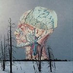 low - songs for a dead pilot low - songs for a dead pilot