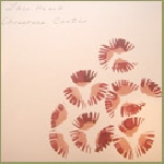 christina carter - lace heart christina carter - lace heart