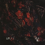 itaru oki - phantom note itaru oki - phantom note