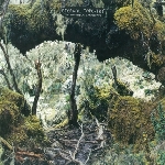 eternal tapestry - the invisible landscape eternal tapestry - the invisible landscape