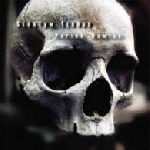 stratum terror - pariah demise stratum terror - pariah demise