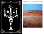 plante - shroud of winter / fripping awesome plante - shroud of winter / fripping awesome
