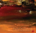 peter andersson (raison d'être) - music for film and exhibition II peter andersson (raison d'être) - music for film and exhibition II