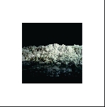 cleared - s/t cleared - s/t