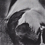 oreledigneur (giuseppe ielasi - renato rinaldi) - alpi oreledigneur (giuseppe ielasi - renato rinaldi) - alpi